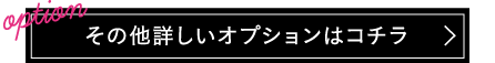 その他詳しいオプションはこちら